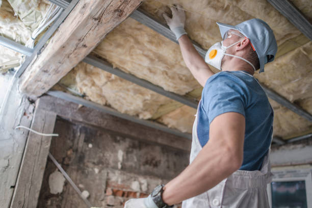 Best Commercial Insulation in Natchez, MS