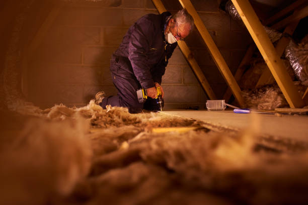 Best Cellulose Insulation in Natchez, MS
