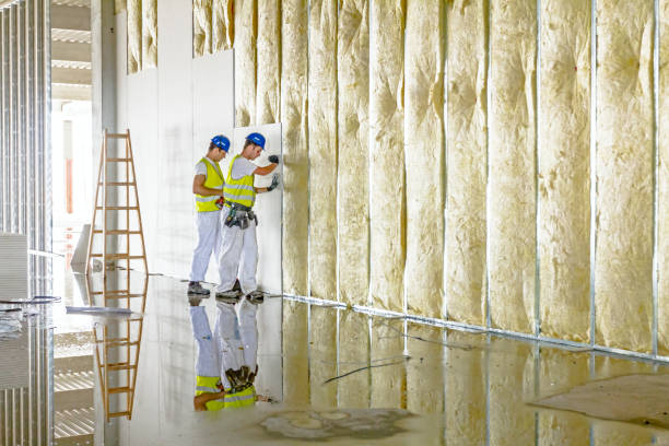 Best Insulation Maintenance and Repair in Natchez, MS